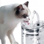 Pet Water Dispenser Automatic Dog Drinking Plastic Fountain Cat Water Fountain Faucet for sale
