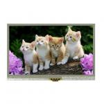 ACN480272A01-4.3N12NSM-R for sale