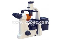 China Learning Inverted Fluorescence Microscope Rohs CE A16.2703 supplier