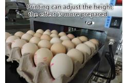 China 600DPI High Resolution Code Printing Machine , Batch Coding Machine For Eggs supplier
