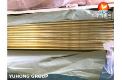 China B111 C44300 Admiralty Brass Seamless Tube, Widely Used In Condenser And Heat Exchanger supplier