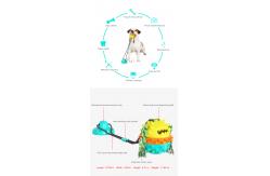 China Grind Teeth Dog Bite Training Toys OEM Dog Toy Suction To Floor supplier