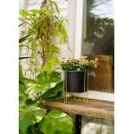 Exquisite Metal Yard Ornaments Decorations Indoor / Outdoor Garden Pot for sale