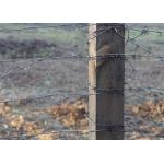 Farm Protection 50kg Double Strand Traditional Twist Barbed Wire Roll for sale