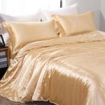 1.5m 5feet 22 Momme Silk Sheet Set , Grade A Chinese Silk Duvet Cover for sale