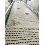                  Slat Chain Conveyor for Conveyor System              for sale