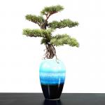 Height 60cm Welcoming Pine Green Artificial Plant Desk Decor for sale