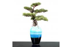 China Height 60cm Welcoming Pine Green Artificial Plant Desk Decor supplier