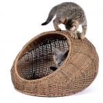 Washable Hanging Cat Bed Wicker For Medium Indoor Cats