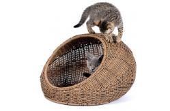 China Washable Hanging Cat Bed Wicker For Medium Indoor Cats supplier