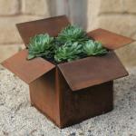 Modern Corten Steel Pot Indoor / Outdoor Usage Large Plant Pots for sale
