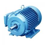 380V 690V Interior Permanent Magnet Motor  Blue Liquid Cooled AC Motor for sale