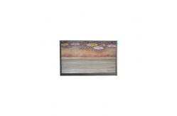 China 6.1 inch TFT LCD Panel U061SWR6-0 lcd screen display panel supplier