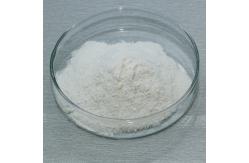 China White Powder Enzyme Of Fats 20000U/G Lipase Customized Enzyme Activity supplier