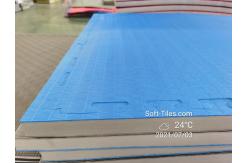 China Cross Pattern EVA PE Gym Foam Mat Non Toxic For Judo Taekwondo supplier