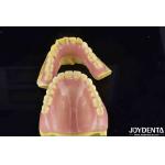 Natural Tooth Morphology Flexible Denture Dental Finish For Comfortable Secure Fit for sale
