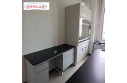 China Customizable lab wall benches - Enhance your workspace efficiency supplier