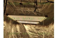 China 2 Channels HLG320 V2 288QB X2 Board DIY Led Grow Panel Light supplier