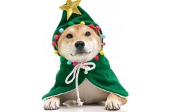 China Lightweight 10 Pounds 31cm Neck Dog Xmas Sweaters supplier