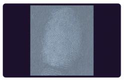 China C205 BTDM-Ⅰ Vacuum coating fingerprint developing instrument supplier