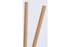 China Sugarcane Bagasse Disposable Drinking Straw 20cm Length Compostable and Biodegradable supplier