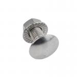 Wholesale Stainless Steel Coach Bolt And Nut Of Ss304 Ss316 A2-70 A4-80 for sale