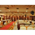 Multi-Purpose Room Folding Movable Sound Proof Partitions 80mm Panel for sale