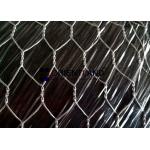 Electric Galvanized 3/4 Premier Poultry Netting , Heavy Duty Chicken Wire Mesh for sale