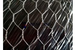 China Electric Galvanized 3/4 Premier Poultry Netting , Heavy Duty Chicken Wire Mesh supplier