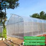 China Baolida Sawtooth Greenhouse Cross Roof Agricultural Greenhouse Serre Agricole  for sale
