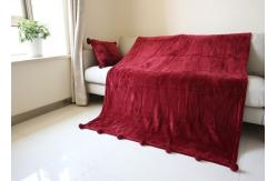 China Multi Purpose Polyester Flannel Blanket Suitable Portable For All Ages supplier