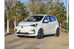 China High Speed 301km New Energy Vehicle Benben E Star Hatchback EV supplier
