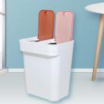 New Dry And Wet decorative Plastic Dustbin 10 ltr With Cover for sale
