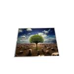 new original laptop screen 15.0 inch B150XG01 1024×768 lcd notebook for sale