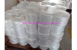 China Raw White Polypropylene Twine Packing Rope Lt021 Diameter 1mm - 6mm supplier
