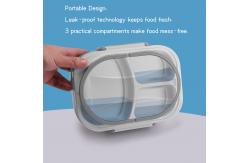 China Stainless Steel Warm Lunch Container 40W Portable Multi Function supplier