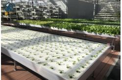 China Flood Drain Ebb Flow Greenhouse Seedling Trays Movable Seedbed Raised Bed Planter supplier