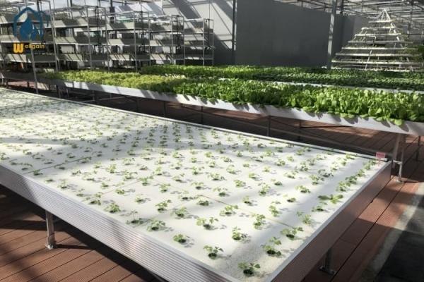Flood Drain Ebb Flow Greenhouse Seedling Trays Movable Seedbed Raised Bed Planter