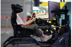 China 15Nm PC F1 Simulator With Realistic Force Feedback supplier