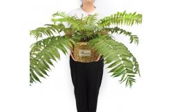 China Customized Large Artificial Fern Branches Decoration Bonsai Plants supplier
