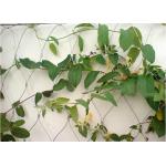 Building Surface Wire Rope Plant Trellis , Inox Flexible Wire Mesh Trellis for sale
