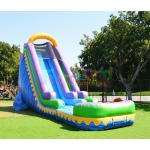 Custom Outdoor Inflatable Water Slides Kids Play Bouncy Castles for sale