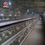 Silver Star Breeding Baby Chick Cage H Type Customized Chicken Coop for sale