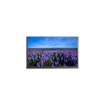 1920*1080 N156HGE-DB1 15.6 inch 262K 60Hz LCD Screen Panel for sale