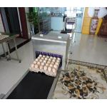 600 Dpi Date Code Printing Machine , Touch Screen Egg Spray Machine for sale