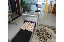 China 600 Dpi Date Code Printing Machine , Touch Screen Egg Spray Machine supplier