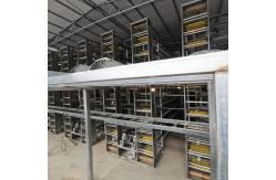 China 10cm Egg Processing Equipment , Siemens Motor 1.5kw Egg Laying Chicken Cages supplier
