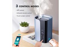 China HOMEFISH Touch Control Room Humidifier Home Essential Oil Diffuser 300ML/H supplier