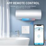 4000W Wifi Boiler Smart Water Heater Switch 20A UL94V0 Tuya App Wifi Sensor Switch Work With Alexa Voice Timing Remote for sale