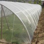 Anti Garden Netting Fine Mesh Crops Protection Netting